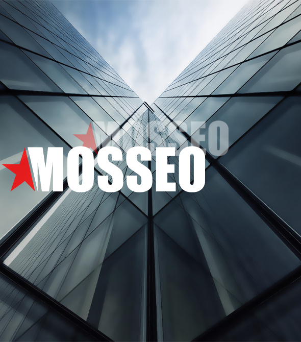 Фото компании MOSSEO. Продвижение сайта