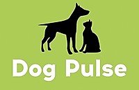 Фото компании Ветеринарная клиника Dogpulse