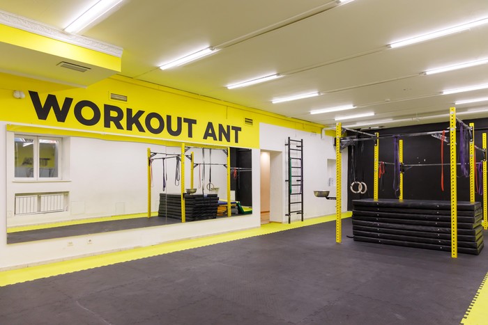 Фото компании Студия гимнастики Workout Ant