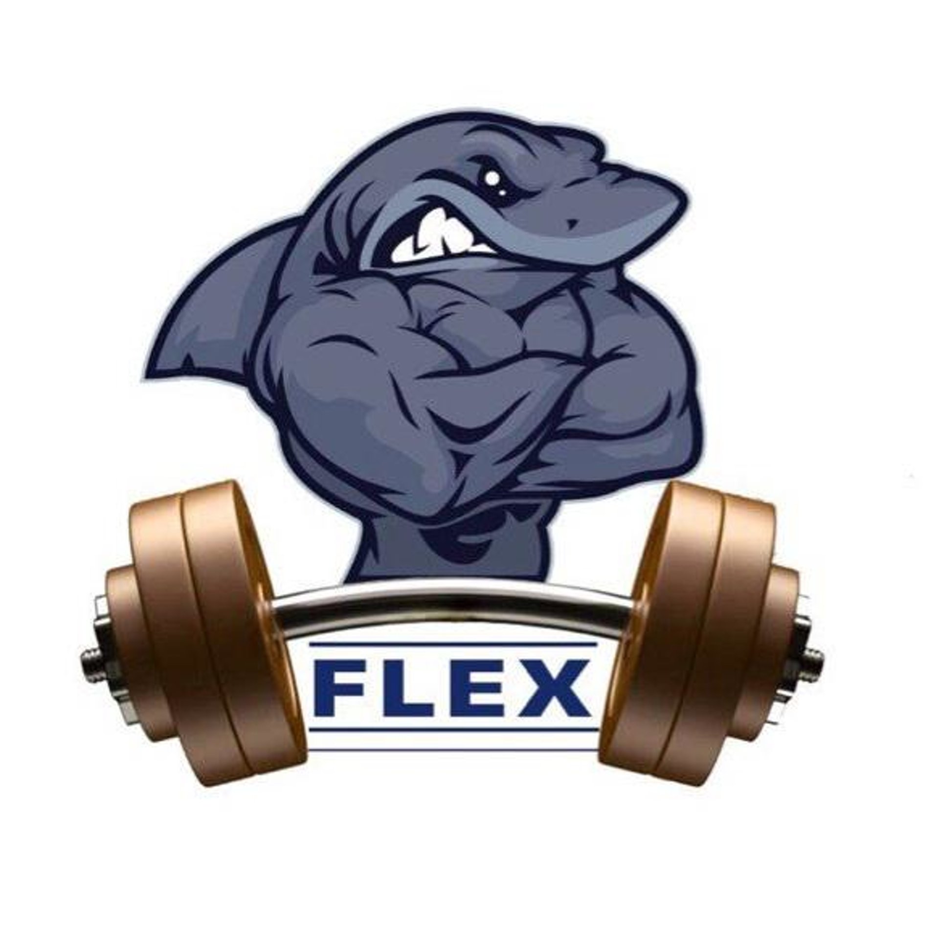 Фото компании FLEX