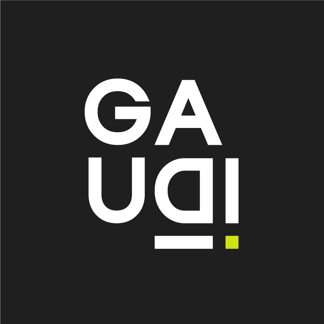 Фото компании Gaudi. Team