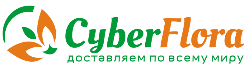 Фото компании Cyber Flora