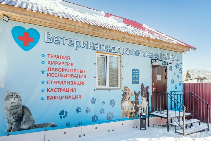 Фото компании Ветеринарная клиника Лапка