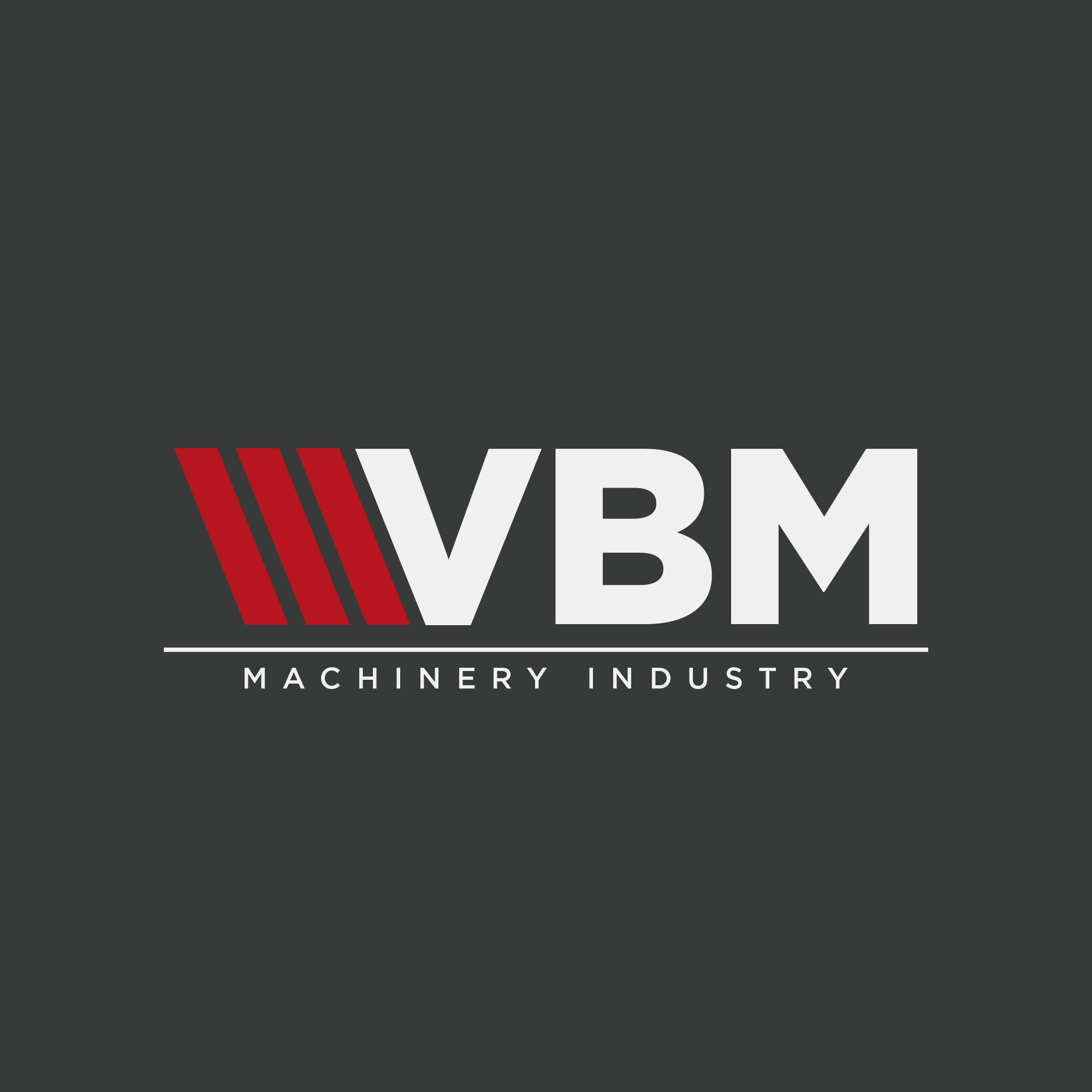 Фото компании VBM PLUS